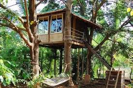 How To Build A Treehouse Bangalore