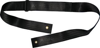 wheelchair seat belt with d ring