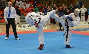 Resultado de imagen de fotos de taekwondo