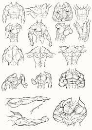 Complete skeleton drawing course by scott harris (udemy). Male Torso Anatomy 2012 By Juggertha Art References