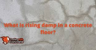 What Is Rising Damp In A Concrete Floor