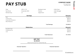 pay stub templates word excel pdf
