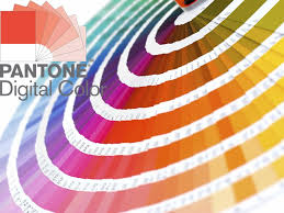 Pantone Color System Usa Onyx Corporation