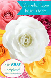 Rose paper flower template and materials: Free Large Paper Rose Template Diy Camellia Rose Tutorial