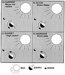 Timoraser Moon Phases Worksheet