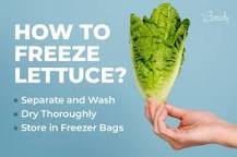 Image result for can i freeze lettuce wraps
