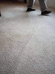 anew carpet cleaning 201 ne 38th ter
