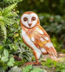 Garden Owl Barn Owl Owl