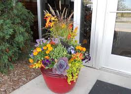 Fall Container Garden Tyler S Landscaping