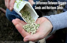 organic seeds and heirloom seeds