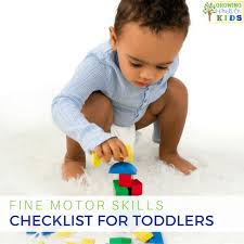 fine motor skills checklist for