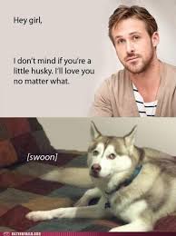 Oh, Ryan Gosling! | UW Huskies | Pinterest via Relatably.com