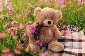 mobile wallpaper teddy bear flower