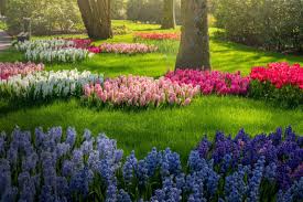 the most beautiful flower garden in the