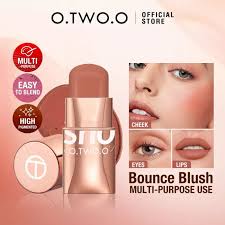 makeup blush stick hydrating gloss lip