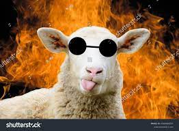 118 Sheep Meme Images, Stock Photos & Vectors | Shutterstock