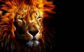 animals fire fractalius lions black ...