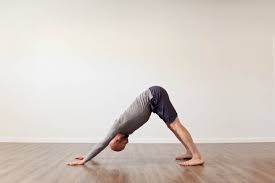 downward facing dog all you need to