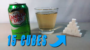 canada dry ginger ale soda 12fl oz