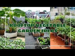 Rooftop Vegetable Garden Ideas Diy