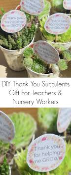 succulent plants thank you gift for