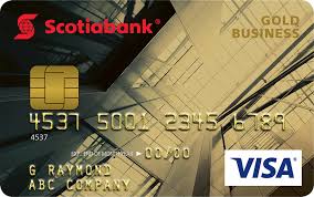 It offers a 0% intro apr on purchases for the first 12 months. Visa Business Card Program Small And Mid Sized Business