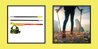 the best walking poles for walking and