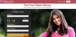 Pink cupid and the fake profiles. Filipinocupid Review Lovely Pandas