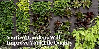 Vertical Gardens Offer Various Health