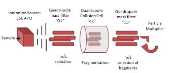 Triple Quadrupole Mass Spectrometer Wikipedia