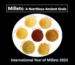 millets a nutritious ancient grain
