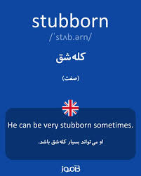 نتیجه جستجوی لغت [stubborn] در گوگل