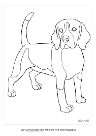 We have compiled for you a large collection of images with different animals. Beagle Coloring Pages Free Animals Coloring Pages Kidadl
