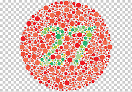 Color Blindness Ishihara Test Deuteranopia Visual Perception