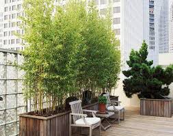 10 Great Ideas For Balcony Privacy