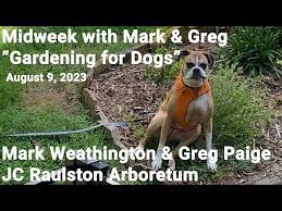 Midweek With Mark Greg Gardening