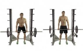What Muscle Groups Do Deadlifts Work 5 Tried And True