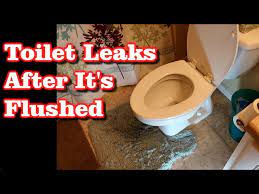 Toilet Leaking Down Below When Flushed