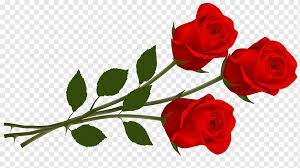red rose love flower arranging