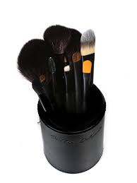 set of 12 professional brushes debbie