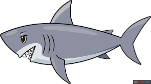 how to draw an easy shark for kids