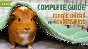 Can you use fleece blankets for guinea pig cages?