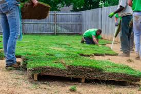 The more nitrogen fertilizer you apply, the faster the lawn grows, and the more you have to mow. How To Get Your Newly Sodded Lawn Off To A Healthy Start Sod Solutions