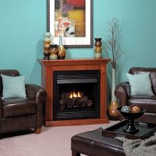 Vail Vent Free Propane Gas Fireplace