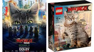 New Lego Ninjago Movie Posters ! Kai,Jay,Lloyd,Cole,Nya, Zane & Cat -  YouTube