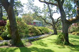 an island of gardens west coast traveller