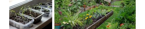thriving vegetable garden in a cold climate