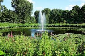 Benefits Of Pond Fountains Garden