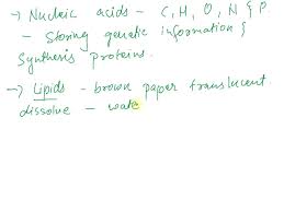 carbohydrates lipids proteins