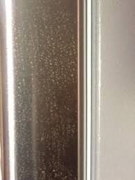 rust on new stainless steel appliances p4
